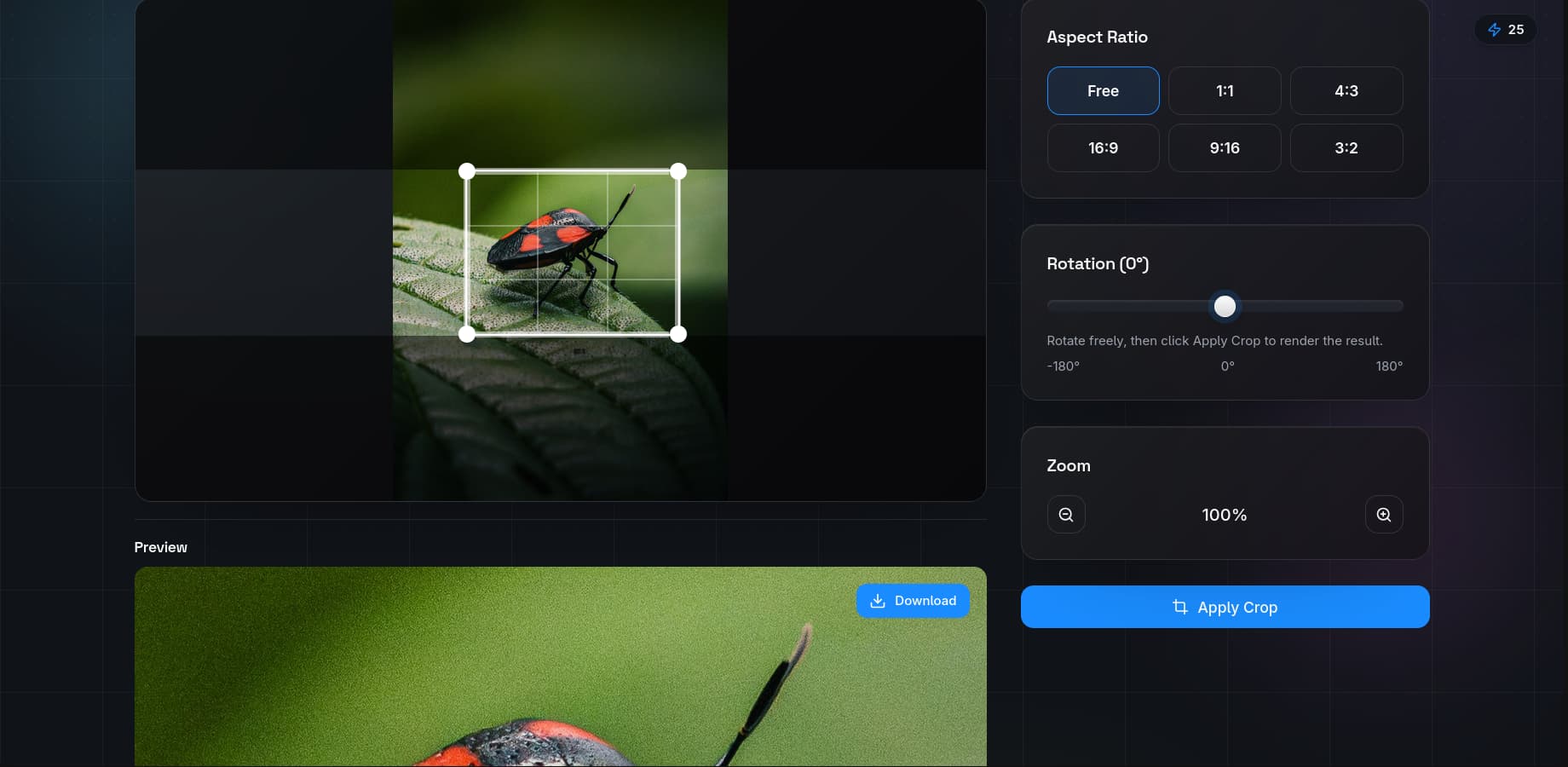 QuickBG crop tool interface showing rule of thirds grid overlay